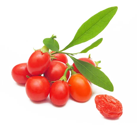 Goji Berry